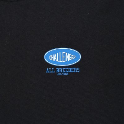 CHALLENGER / L/S SUNSET DRIVE TEE