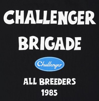 CHALLENGER / STORM TOTE BAG