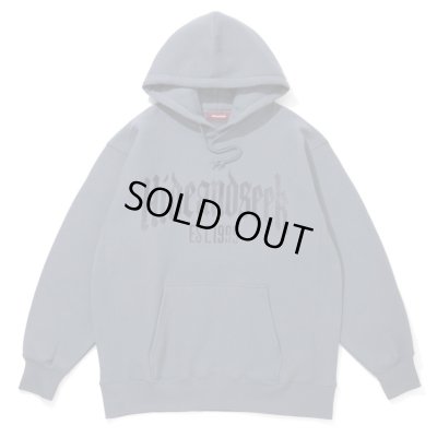 HIDE AND SEEK / College Hooded Sweat Shirt(26ss)
