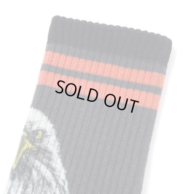 CHALLENGER / EAGLE SOCKS