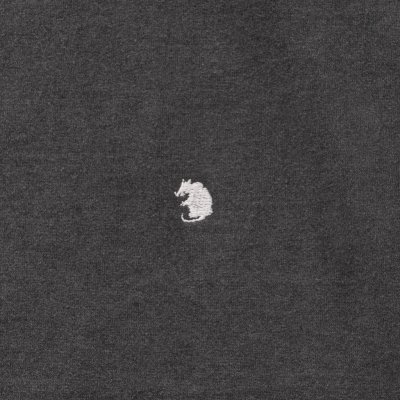 RATS / PIGMENT DYED L/S TEE