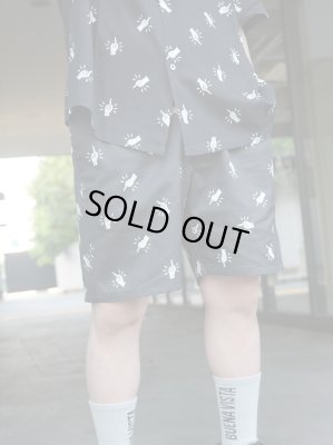 BUENA VISTA / Fuck off shorts