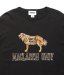 BOW WOW / WEATHERED 88/12 LS TEE - DOG