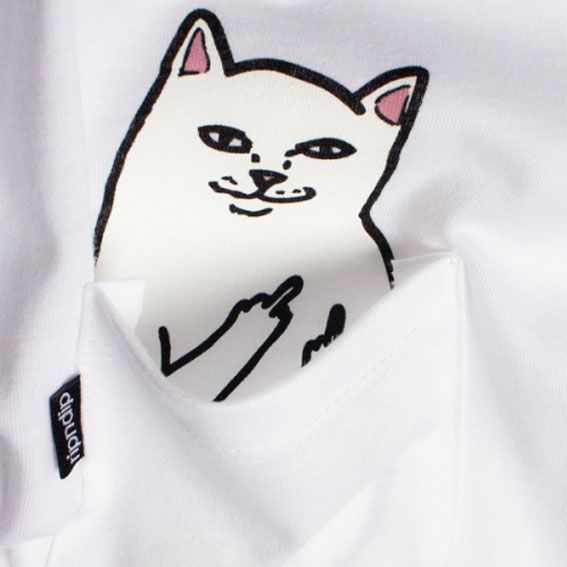 RIPNDIP アップしました。